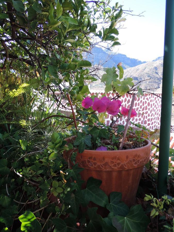 Rural Houses Serafin Casa Rural Serafin The Best Views Tejeda  Exterior photo